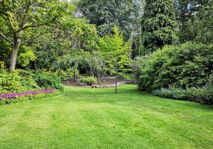 Optimiser l'expérience du jardin à Cesancey